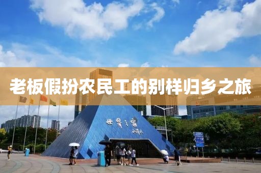 老板假扮农民工的别样归乡之旅