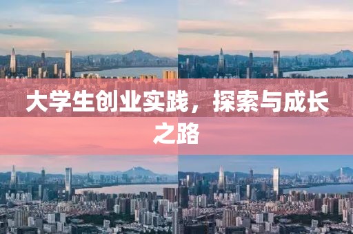 大学生创业实践，探索与成长之路