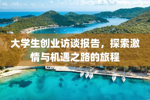 大学生创业访谈报告，探索激情与机遇之路的旅程