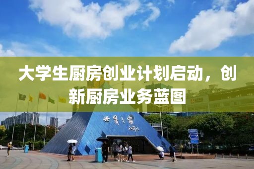 大学生厨房创业计划启动，创新厨房业务蓝图