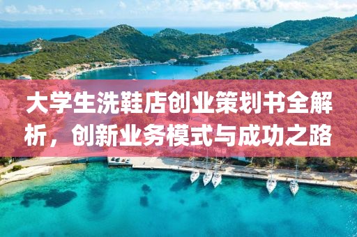 大学生洗鞋店创业策划书全解析，创新业务模式与成功之路