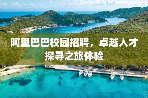 阿里巴巴校园招聘，卓越人才探寻之旅体验