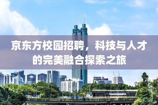 京东方校园招聘，科技与人才的完美融合探索之旅