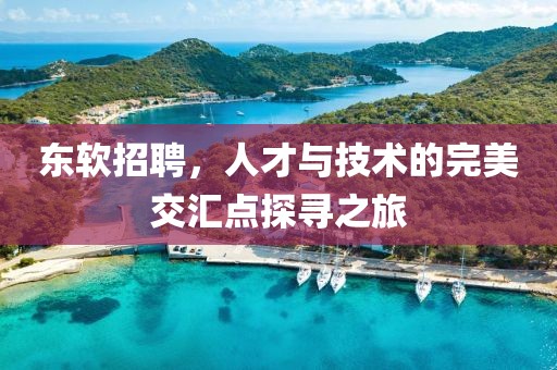 东软招聘，人才与技术的完美交汇点探寻之旅