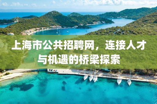 上海市公共招聘网，连接人才与机遇的桥梁探索