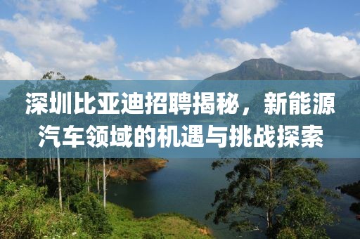 深圳比亚迪招聘揭秘，新能源汽车领域的机遇与挑战探索