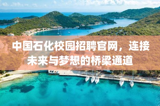 中国石化校园招聘官网，连接未来与梦想的桥梁通道