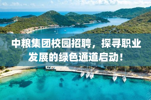 中粮集团校园招聘，探寻职业发展的绿色通道启动！