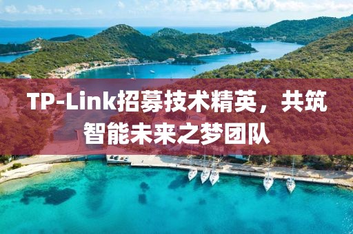 TP-Link招募技术精英，共筑智能未来之梦团队