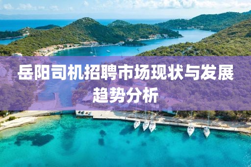 岳阳司机招聘市场现状与发展趋势分析