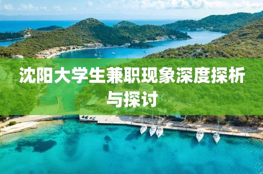 沈阳大学生兼职现象深度探析与探讨