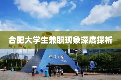 合肥大学生兼职现象深度探析