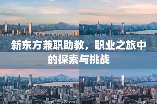 新东方兼职助教，职业之旅中的探索与挑战