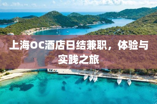 上海OC酒店日结兼职，体验与实践之旅